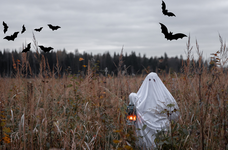 Scary Gaps in Your Business Coverage That Every Business Owner Should Know